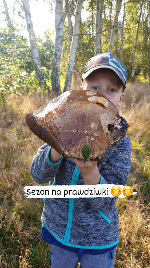 Aris Pokoje Goscinne Wojnicz Eksteriør billede